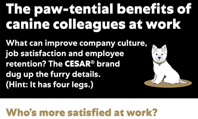 The Paw-tential Benefits of Canine Colleagues at Work
